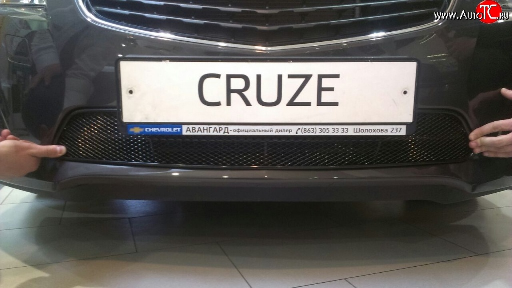 2 899 р. Сетка на бампер Novline  Chevrolet Cruze ( седан,  хэтчбек) (2009-2015)